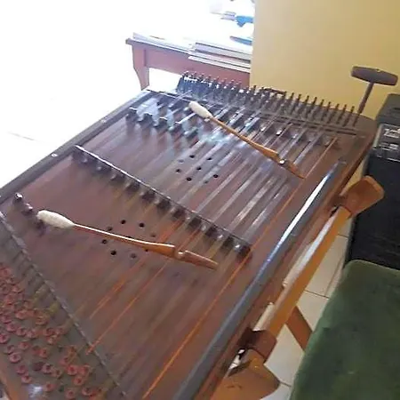 Fiona 3*